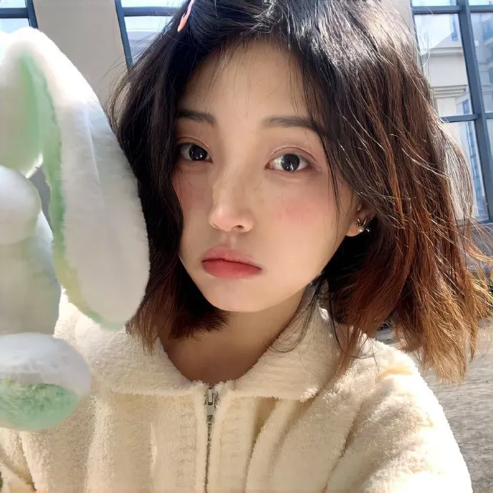 寿命最长刑侦剧《科搜研之女》精选集在线观看：法医女神泽口靖子，用最新科学技术让死者开口